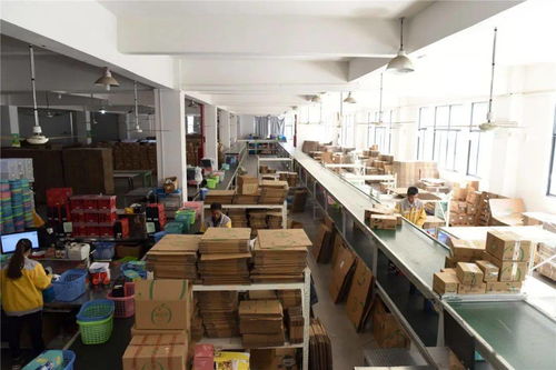 臨安工廠備戰(zhàn)雙十一 生產(chǎn)不停、分倉(cāng)不歇的緊張有序圖景